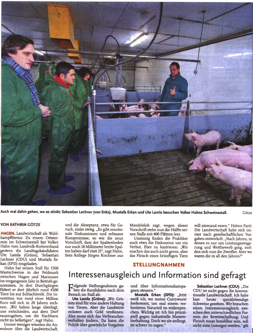 Ortstermin im Schweinestall (Bild und Text)