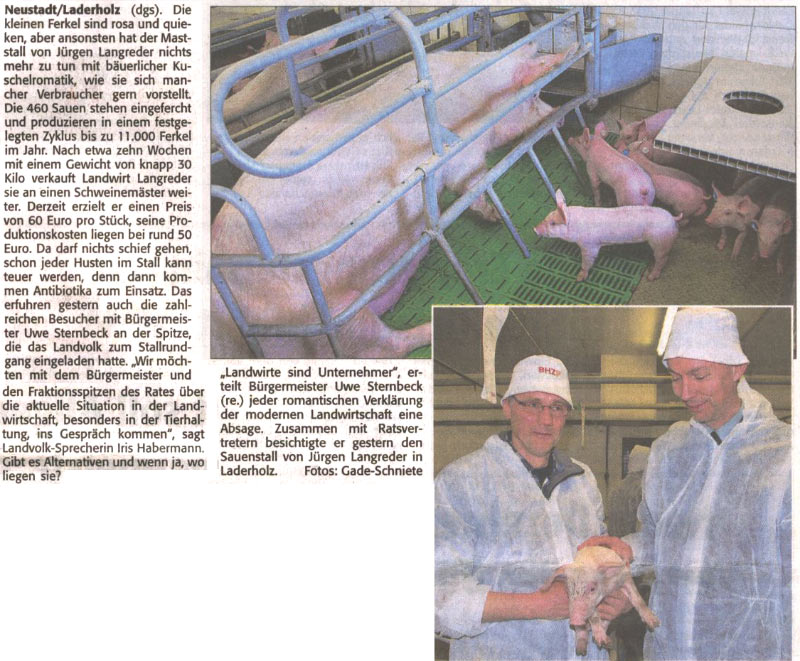 Brgermeister im Schweinestall: Kuschelromantik ist hier Fehlanzeige