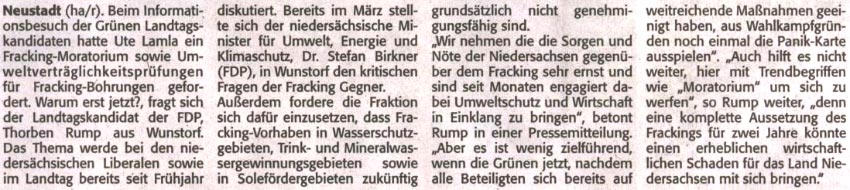 Grne Panikmache ist wenig zielfhrend (Text)