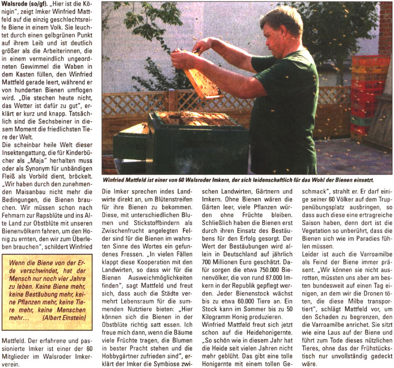 In diesem Jahr wird ein Heidehonig von besonderer Gte erwartet